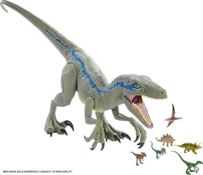 Mattel Jurassic World Super Colossal Velociraptor Blue Figure – 3.5 ft Dinosaur Toy with Eating Feature
