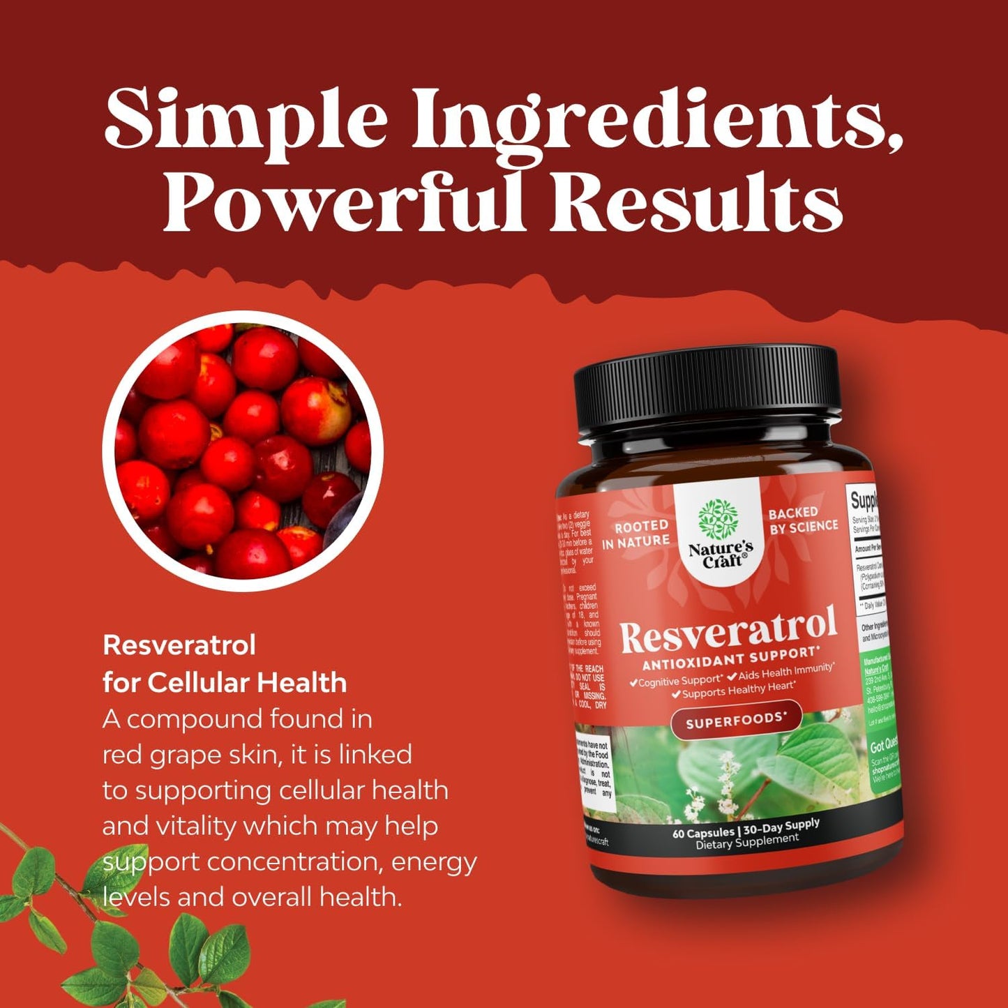 Youthful Trans Resveratrol Capsules AMPK Activator Cellular Health 60 Count