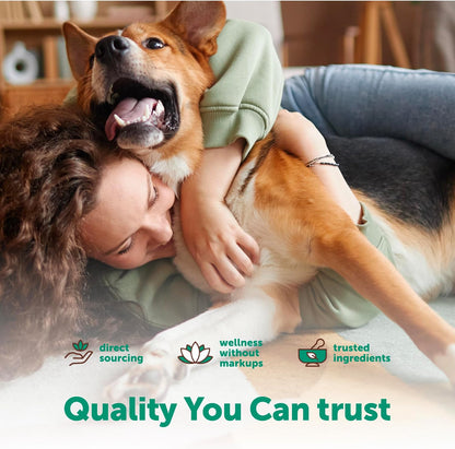 Micro Ingredients Probiotics for Dogs Soft Chews – 6 Billion CFU with Prebiotics, Enzymes & Pumpkin, Duck Flavor, 240 Count