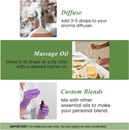 Handcraft Blends Rosemary Essential Oil 100% Pure & Natural Premium Grade 4 fl oz