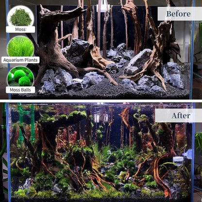 Majoywoo Natural Driftwood Aquarium and Reptile Decor Branches 3 Piece