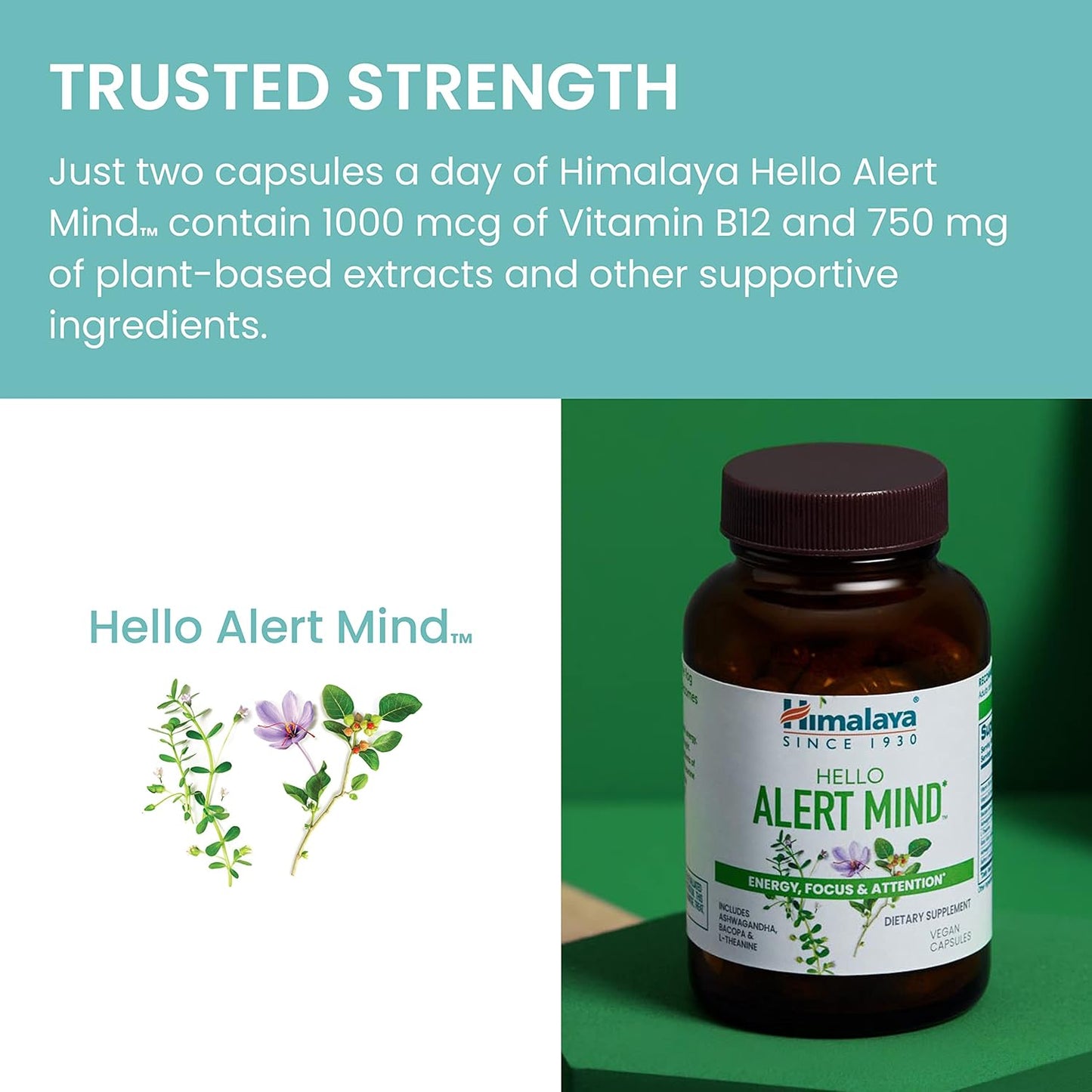 Himalaya Hello Alert Mind Focus & Energy Supplement 60 Vegan Capsules