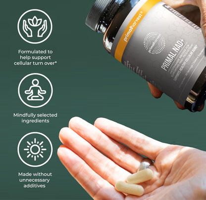 Primal Harvest NAD+ Supplement Nicotinamide Riboside Resveratrol Betaine CoQ10 Capsules