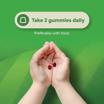 Natures Craft Kids Prebiotic Fiber Gummies Chicory Root Non-GMO 120 Count