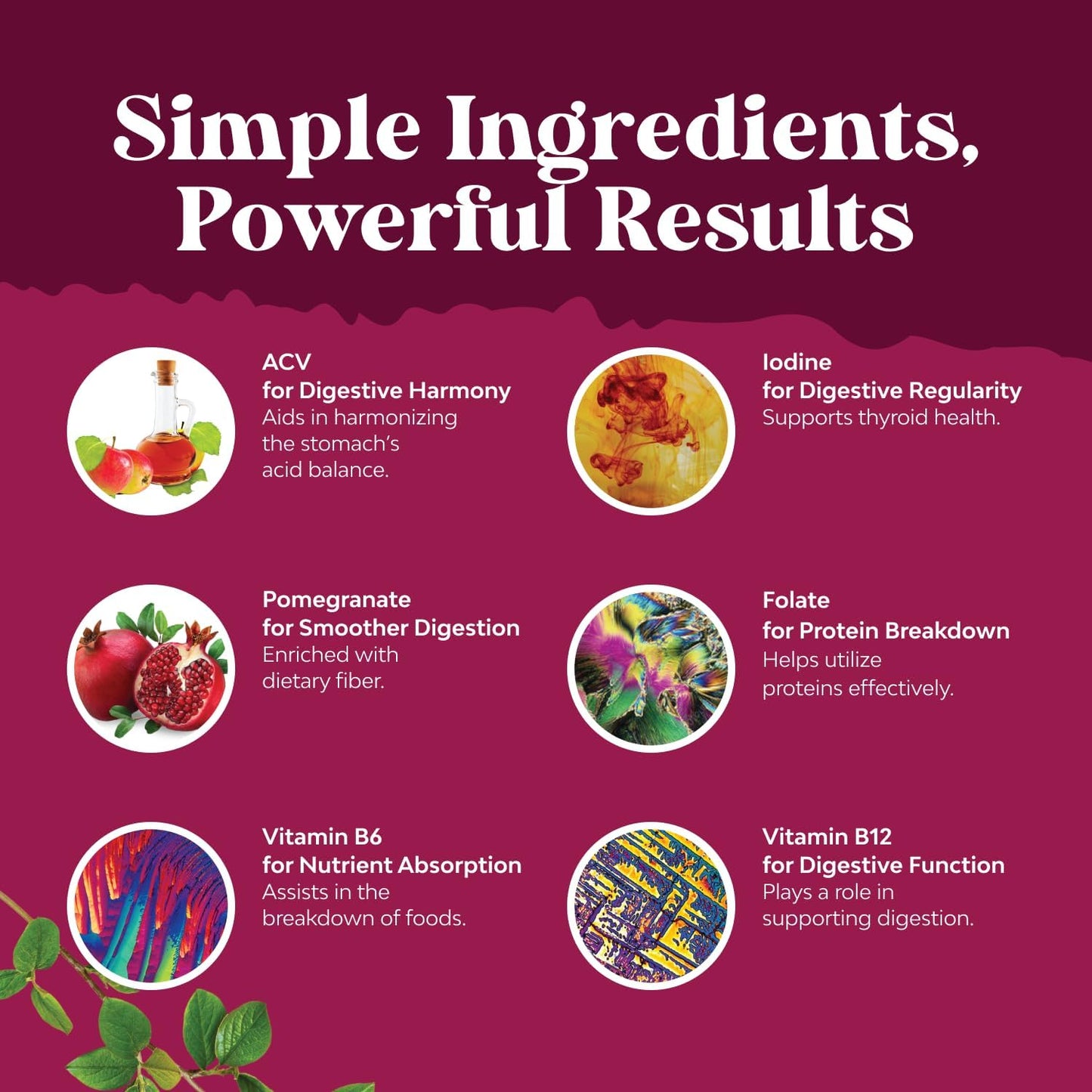 Apple Cider Vinegar Gummies with Mother B12 B6 Pomegranate 60 Count
