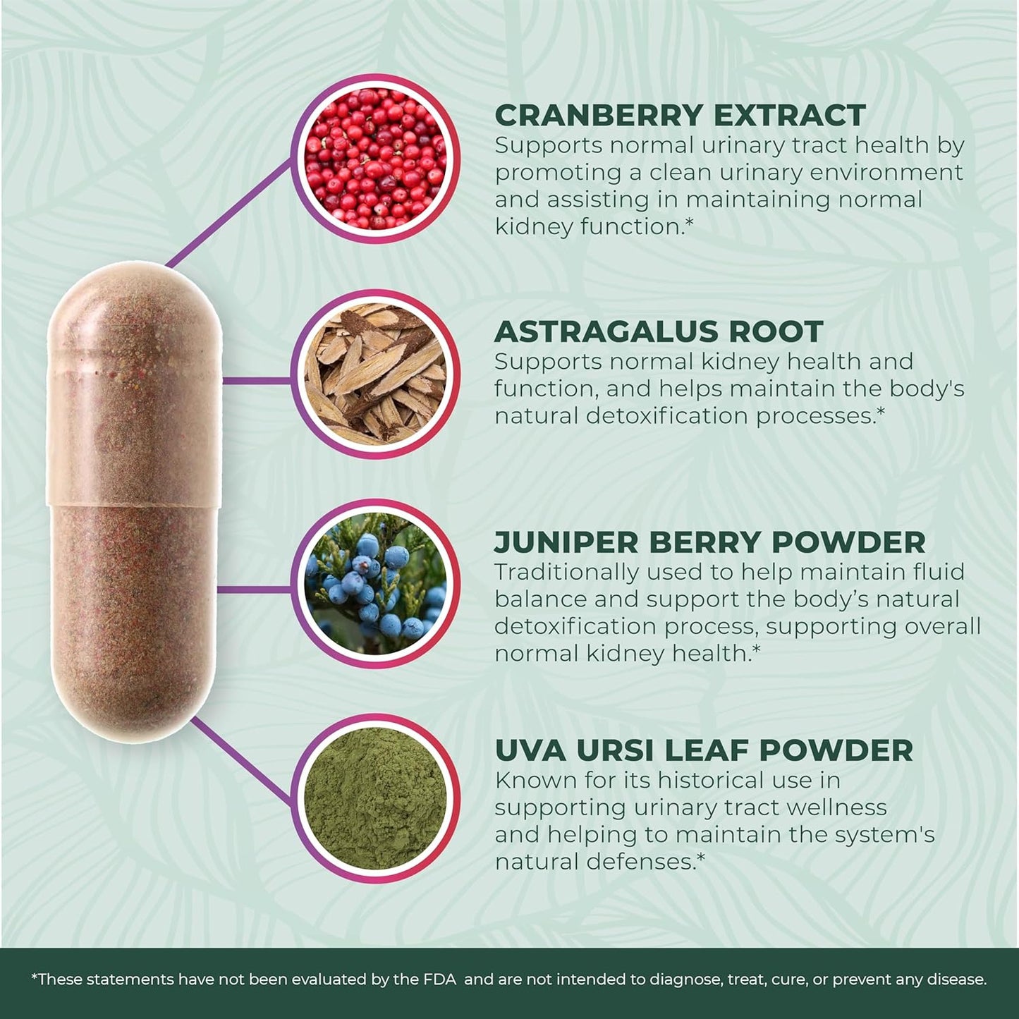 PurePremium Kidney Support Supplement Cranberry Astragalus 21-in-1 60 Day Supply
