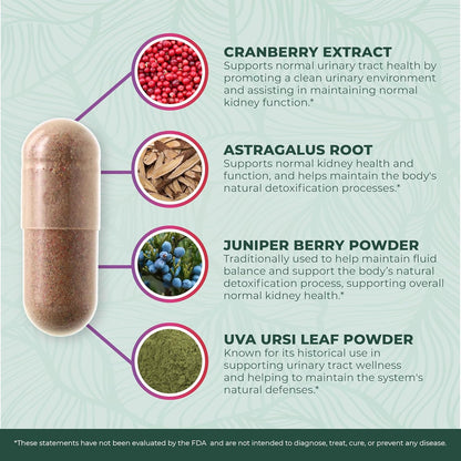 PurePremium Kidney Support Supplement Cranberry Astragalus 21-in-1 60 Day Supply