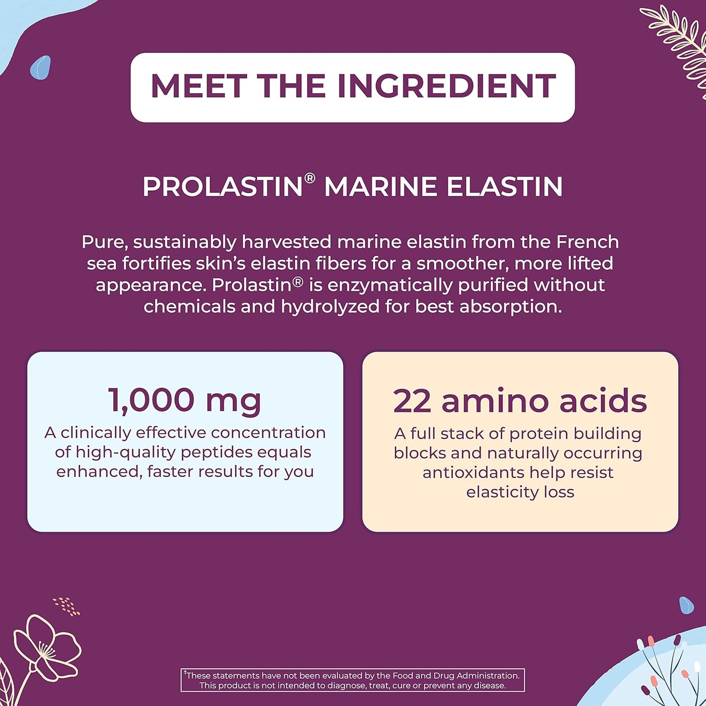 Body Kitchen Pro Elastin Peptides 1000 mg Marine-Derived Supplement 2 Pack 120 Capsules