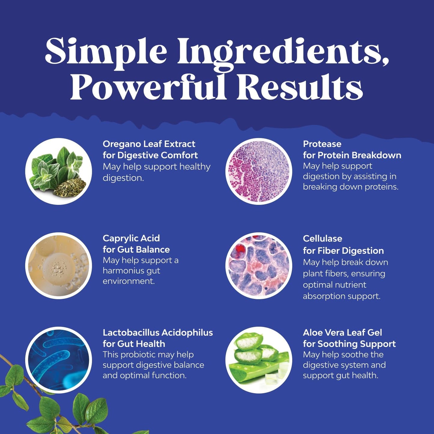 CANDI-CLEAR Body Cleanse Capsules Caprylic Acid Black Walnut Oregano 60 Count