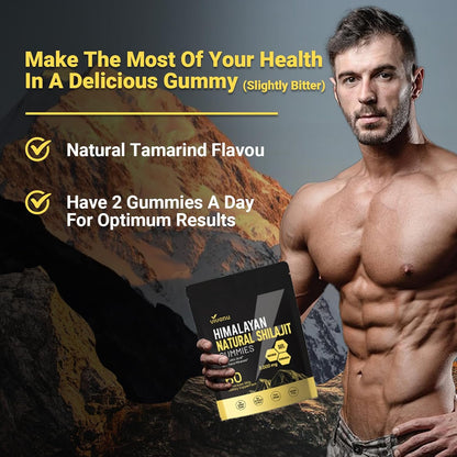VIVONU Shilajit Gummies with Ashwagandha Gokshura Fulvic Acid 3000 mg Pack