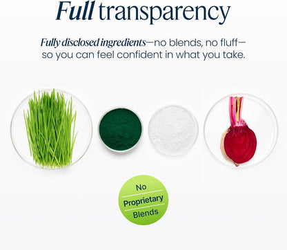 Vibrant Health Green Vibrance Plant-Based Superfood Powder 30 Servings