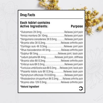 T-Relief Arnica +12 Natural Medicine Tablets 100 Count 2 Pack