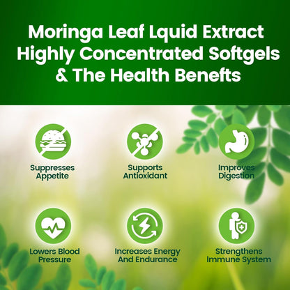 Pure Moringa Softgels Liposomal Extract 30:1 High Absorption 120 Day Supply