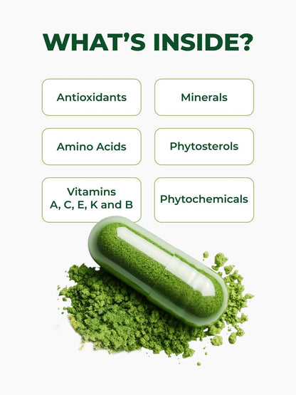 PURA VIDA MORINGA Organic Moringa Capsules 500mg – Pure Leaf Powder for Energy & Wellness Support, 120 Capsules