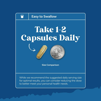 Adaptogen Mood Support Capsules Ashwagandha Rhodiola Maca Vegan 60 Count