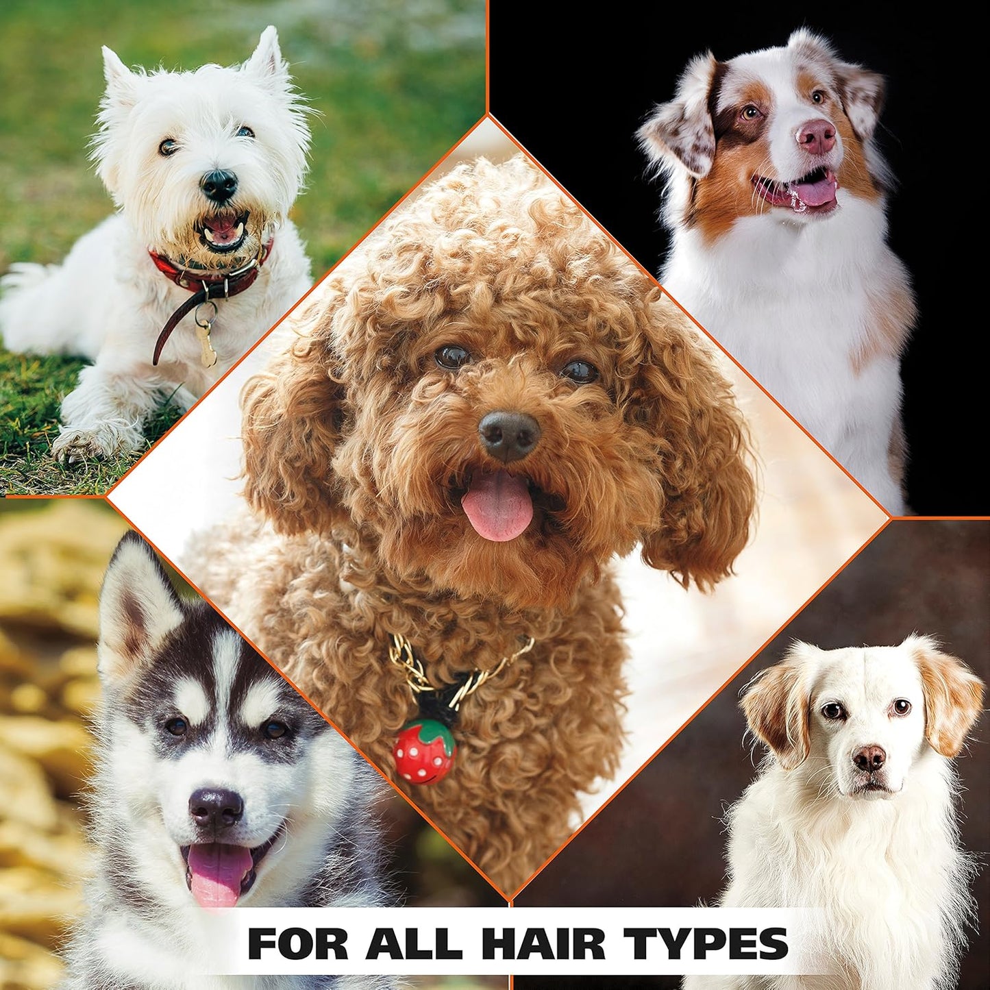 Wahl USA 4-in-1 Calming Dog Shampoo – Lavender Chamomile Scent, 24 Oz, Cleans & Conditions