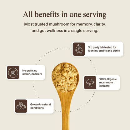 Real Mushrooms Lion's Mane Mushroom Extract Capsules 120 Capsules