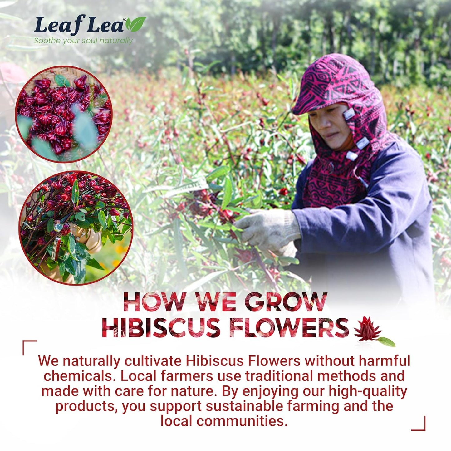 LeafLea Hibiscus Tea Bags 100% Pure Herbal Caffeine Free 40 Count