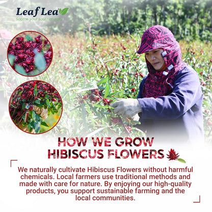 LeafLea Hibiscus Tea Bags 100% Pure Herbal Caffeine Free 40 Count