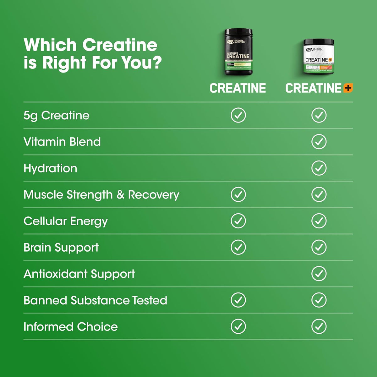 Optimum Nutrition Micronized Creatine Monohydrate Powder Unflavored 240 Servings