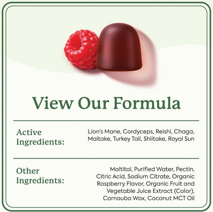 Plant People WonderDay Mushroom Gummies with Lion’s Mane, Cordyceps & Chaga 60 Gummies