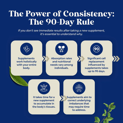 Herbal Prostate Supplement Saw Palmetto Pygeum Beta Sitosterol 90 Capsules