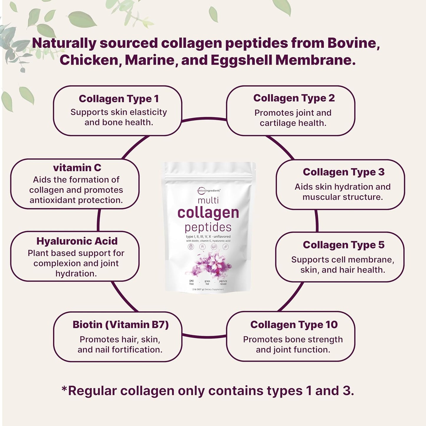 Micro Ingredients Multi Collagen Peptides Powder 2 lb – Types I, II, III, V & X with Biotin, Hyaluronic Acid & Vitamin C, Unflavored
