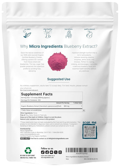 Organic Blueberry Extract Powder 10oz – 100% Natural Fruit Powder for Drinks & Smoothies