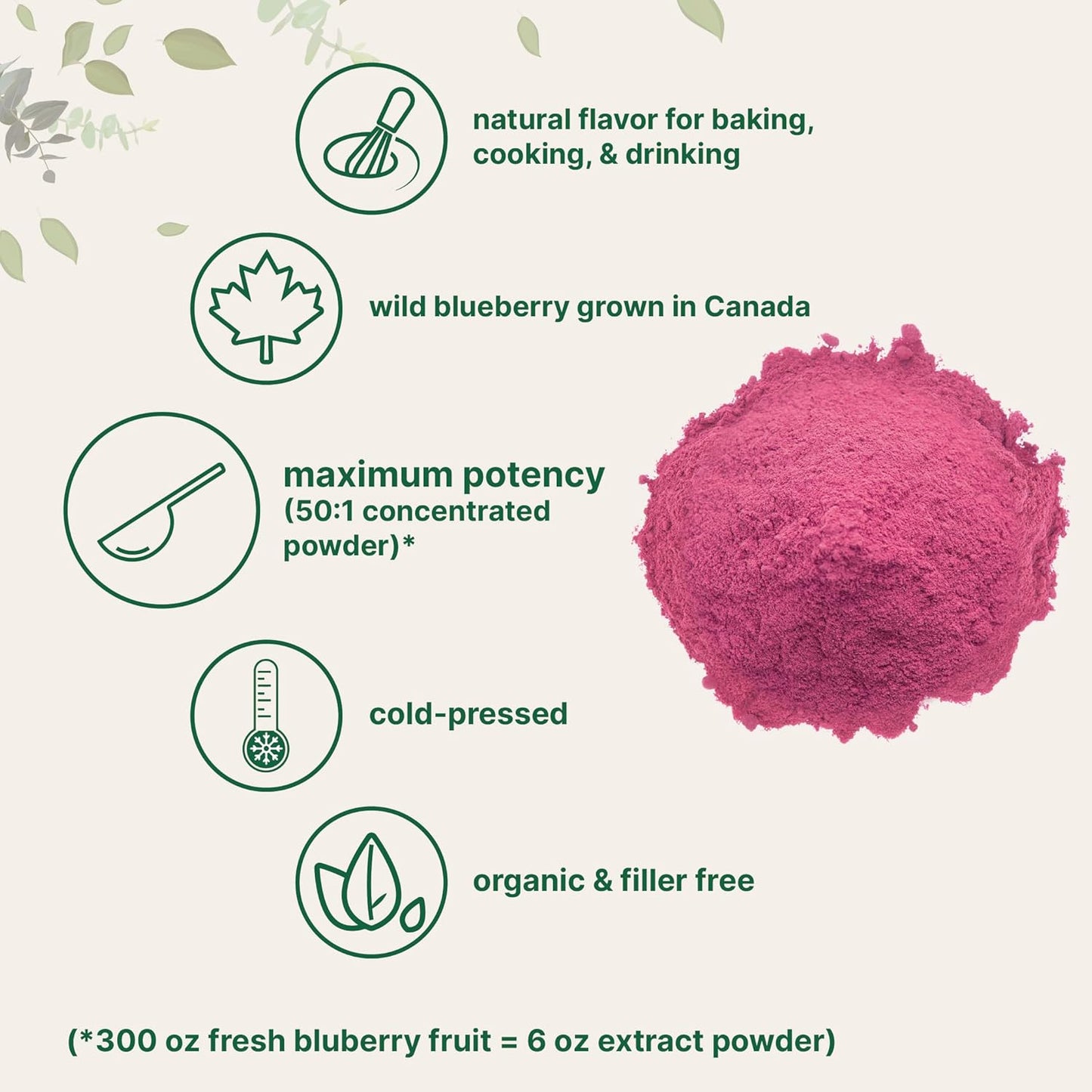 Organic Blueberry Extract Powder 10oz – 100% Natural Fruit Powder for Drinks & Smoothies