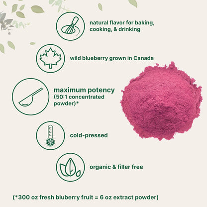 Organic Blueberry Extract Powder 10oz – 100% Natural Fruit Powder for Drinks & Smoothies