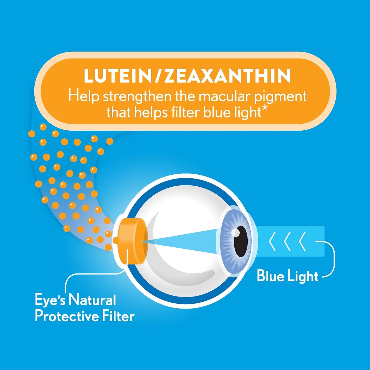 Ocuvite Blue Light Eye Vitamin – Lutein & Zeaxanthin Vision Support Supplement, 30 Softgels