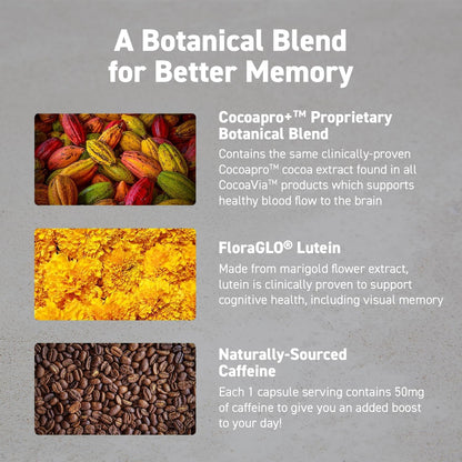 CocoaVia Memory & Focus Brain Supplement – Cocoa Flavanol Blend with Lutein & Caffeine, 30 Capsules