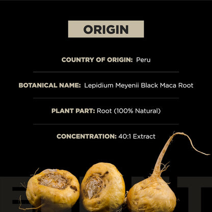 Organic Black Maca Root 40,000mg 40:1 Extract with Ashwagandha – Gelatinized Maca Peruana, High Potency, Capsules