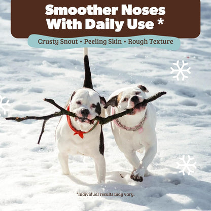 Natural Dog Company Snout Soother Balm – Dog Nose Balm with Coconut Oil & Shea Butter, 2 oz Stick