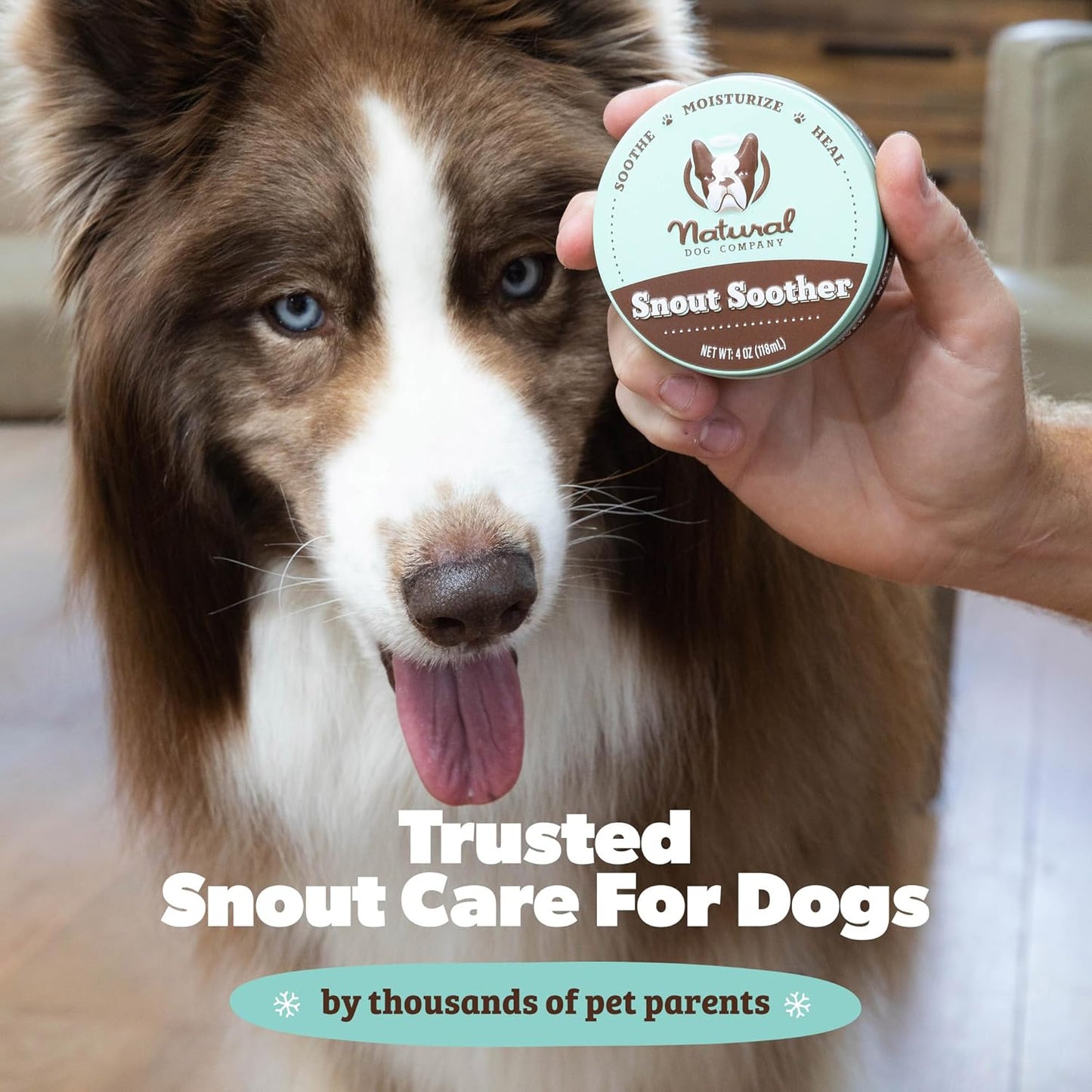 Natural Dog Company Snout Soother Balm – Dog Nose Balm with Coconut Oil & Shea Butter, 2 oz Stick
