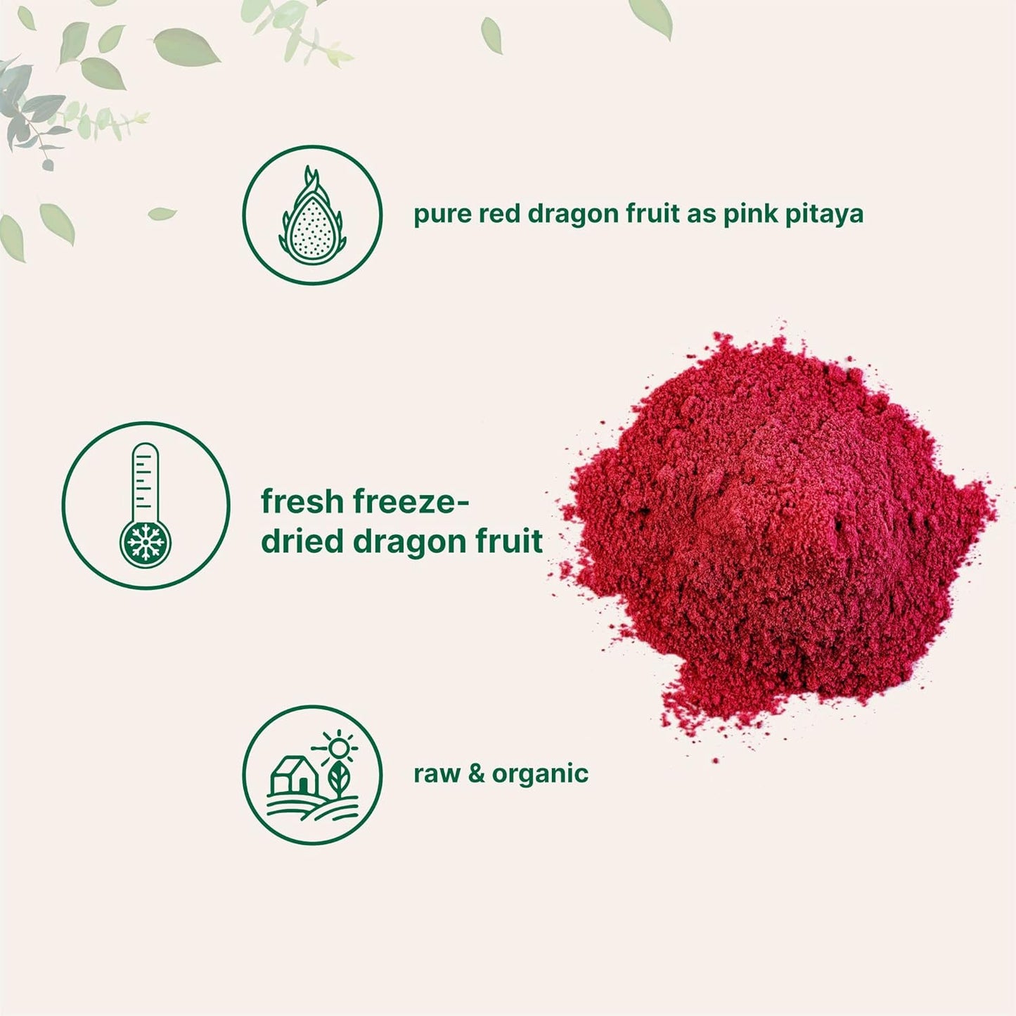 Organic Dragon Fruit Powder 10oz – 100% Natural Fruit Powder for Drinks & Smoothies