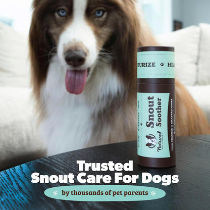 Natural Dog Company Snout Soother Balm – Dog Nose Balm with Coconut Oil & Shea Butter, 2 oz Stick