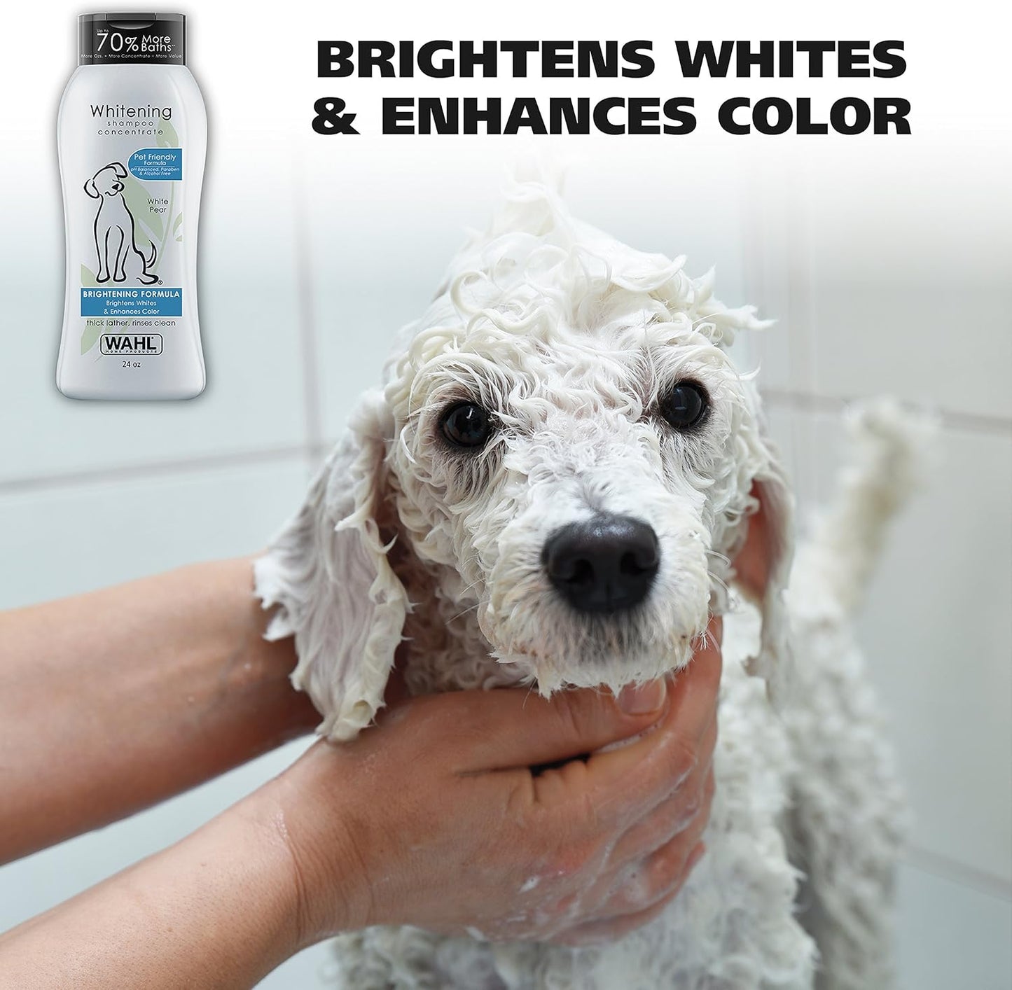 Wahl USA Whitening Dog Shampoo – White Pear Scent, 24 Oz, Pet-Friendly Formula