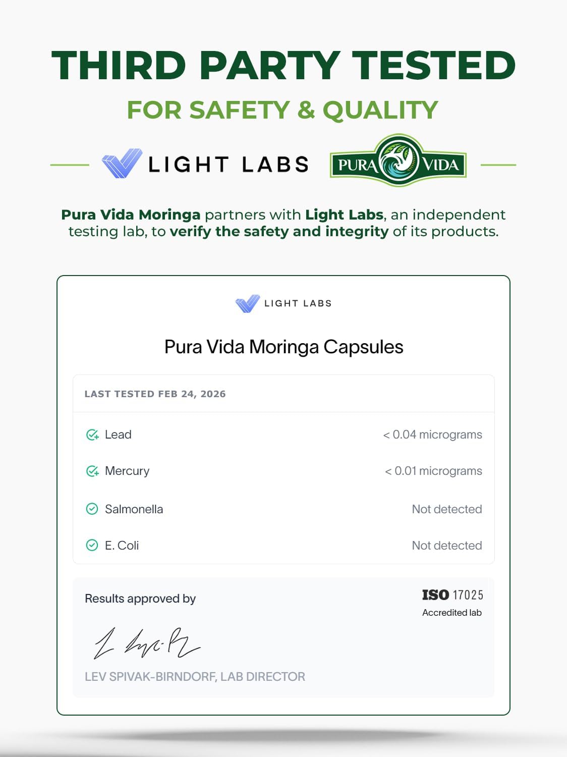 PURA VIDA MORINGA Organic Moringa Leaf Powder 8 oz – 100% Pure USDA Organic Moringa Oleifera for Smoothies & Recipes