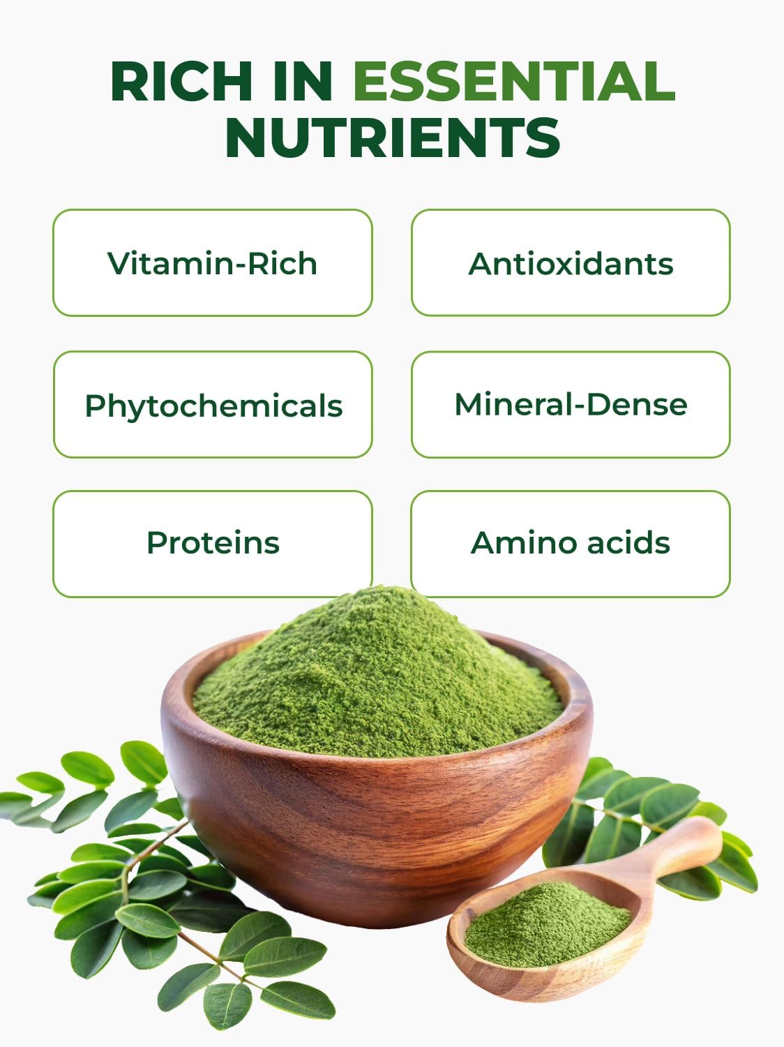 PURA VIDA MORINGA Organic Moringa Leaf Powder 8 oz – 100% Pure USDA Organic Moringa Oleifera for Smoothies & Recipes