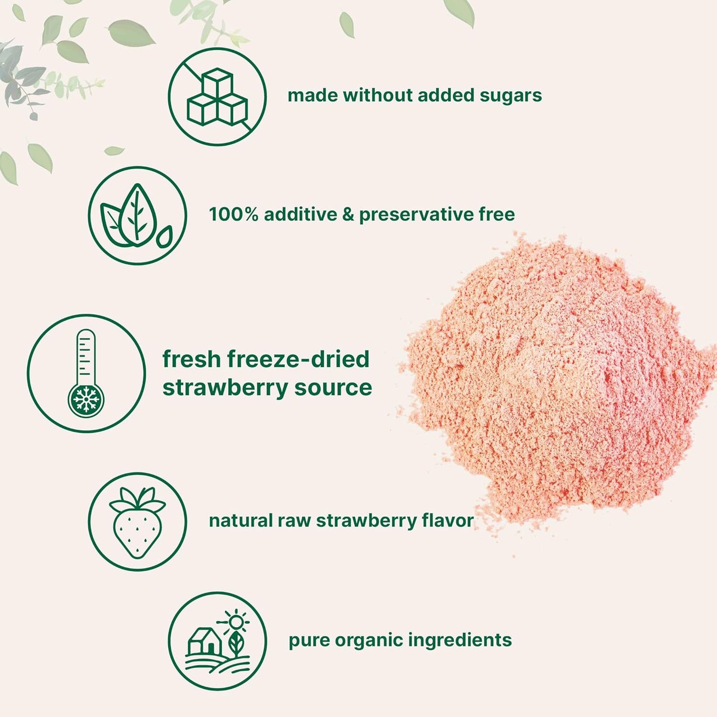 Organic Strawberry Powder 1lb – 100% Natural Fruit Powder for Drinks, Smoothies & Baking